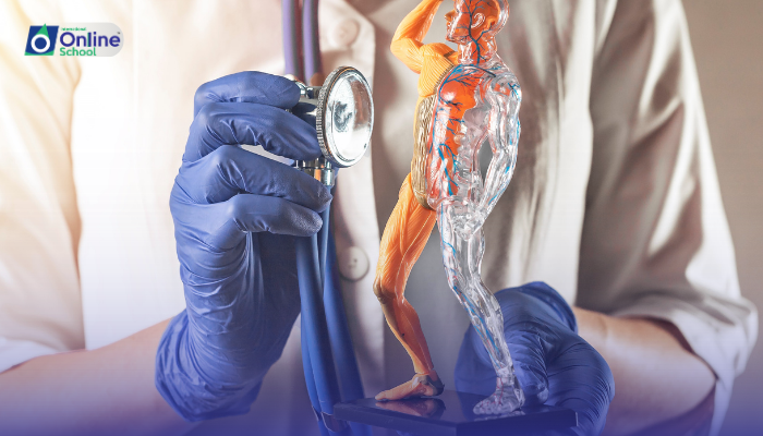 Lesson 09: Muscular Antagonism